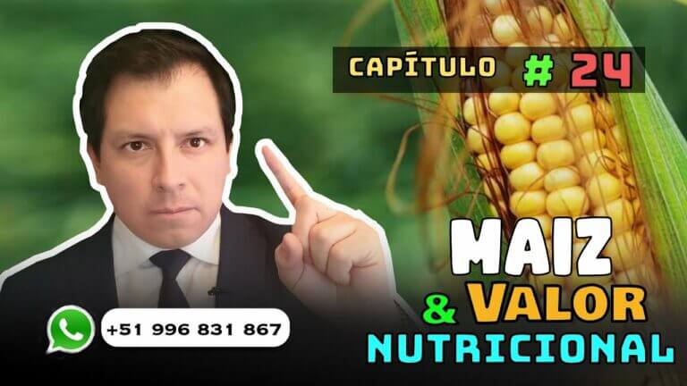 Maiz Informacion Nutricional Actualizado Enero 2023