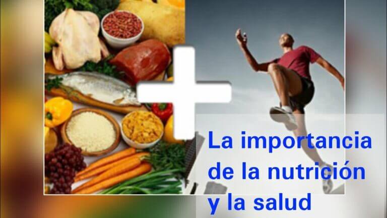 La Nutricion Y La Salud Actualizado Febrero 2023 6141