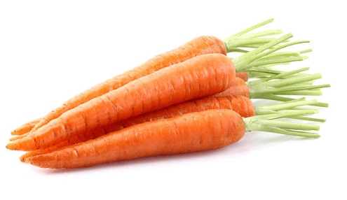 La Zanahoria: ¿Qué es, cuáles son sus beneficios y sus usos?