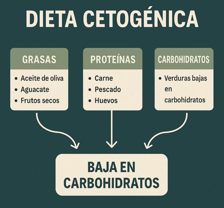Qué es la dieta cetogénica: guía completa para empezar con seguridad